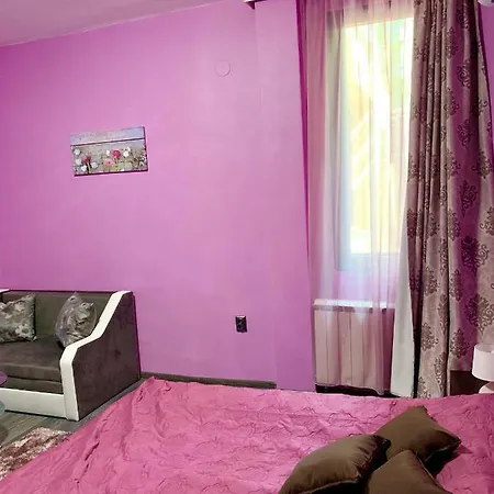 Apartment Niki *